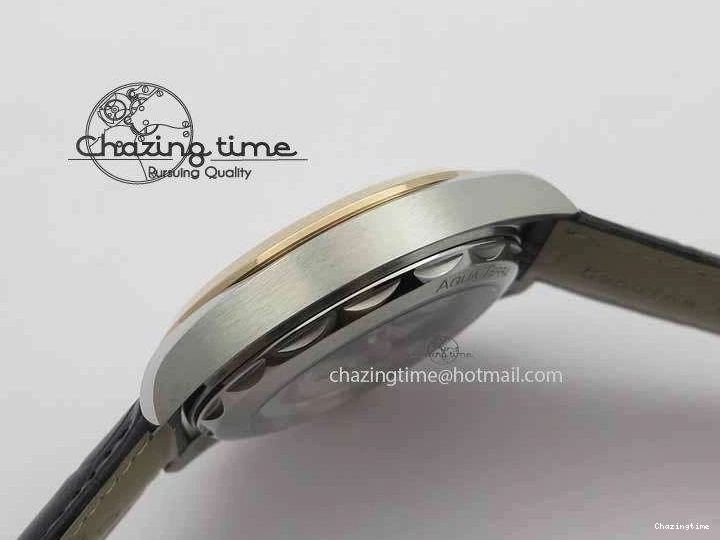 0509 2017 Aqua Terra SS RG XF Best Edition White Textured Dial On Black Leather Strap A Functional 8157